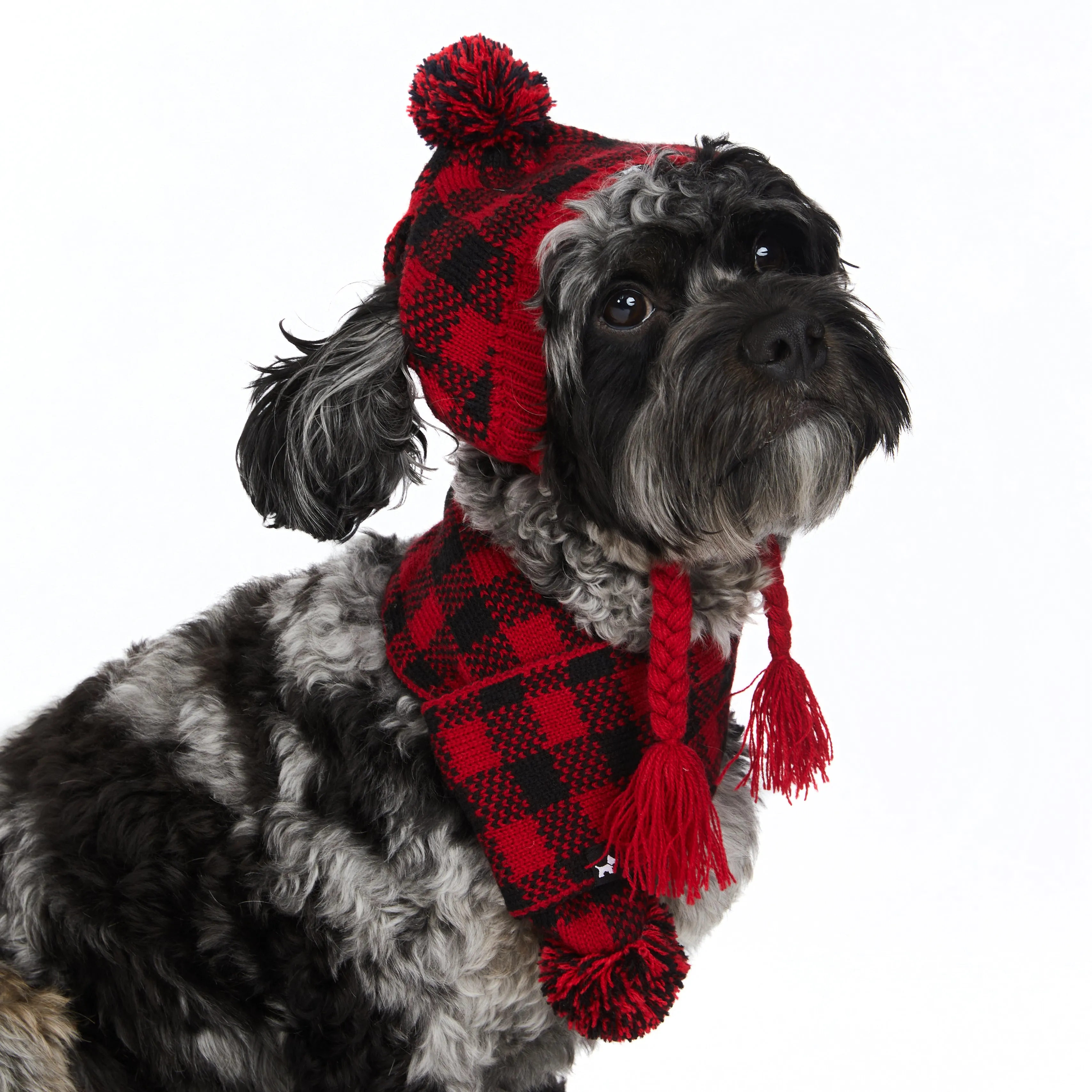 Knit Winter Scarf